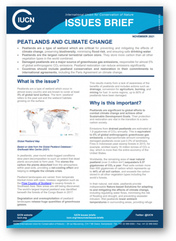 Briefings | IUCN UK Peatland Programme